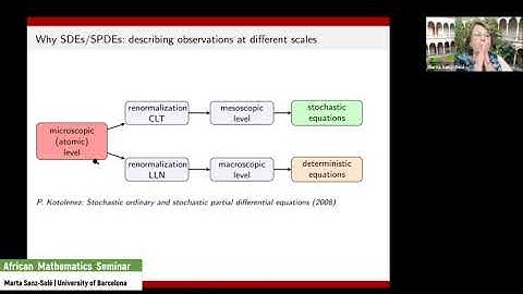 Marta Sanz-Solé | Random modelling with stochastic partial differential equations.
