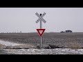An Interesting Horn at some Rural Crossings on the Illinois Praire. DREI 101 East.