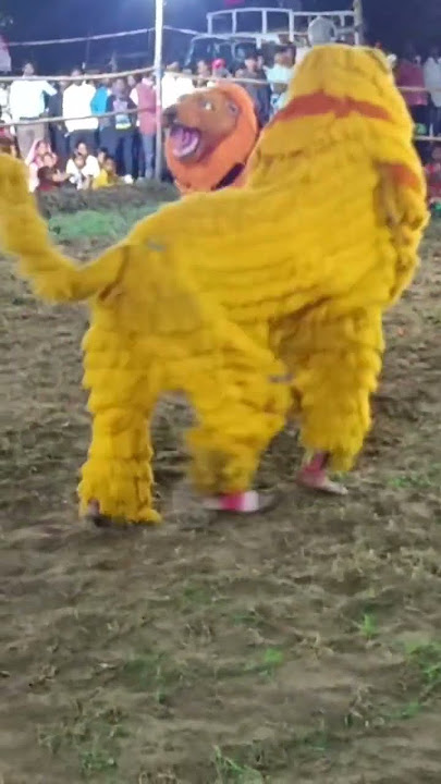 Tiger chhuh nritya!!