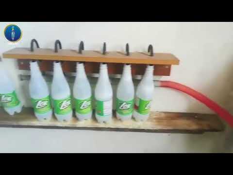 \"ფეირის\" და\"დომესტოსის\" უკანონო დამზადება