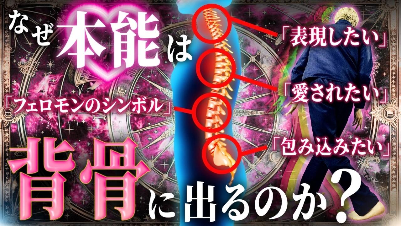 【体の声を聞く！総集編】なぜ本音・本能は「背骨」や「お尻」に出るのか？脳では気づかない言葉以前の「潜在的意識」の世界へ💗