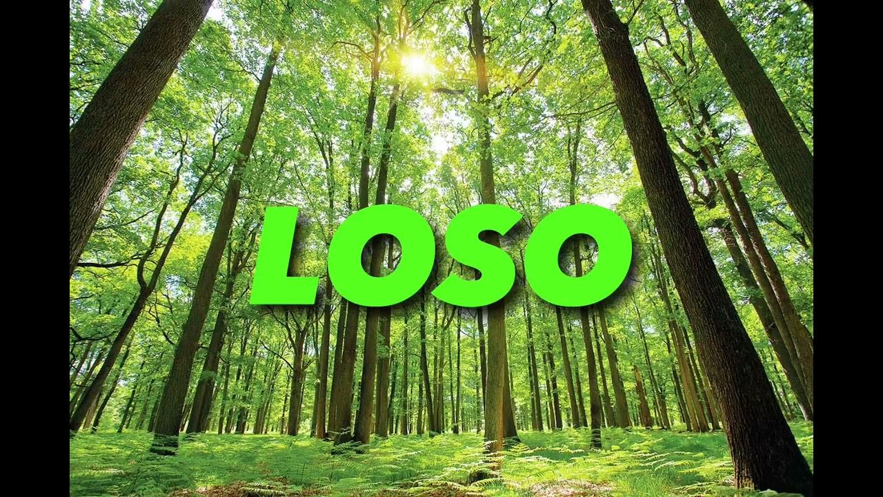 LOSO - YouTube