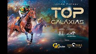 LEILÃO TOP DAS GALÁXIAS