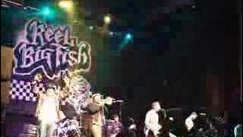 Reel Big Fish - Good Thing & Your Guts (live Glasgow feb 08)