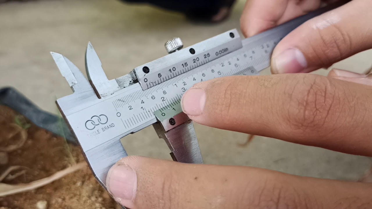 Pengukuran Diameter Batang Tanaman Jagung Menggunakan Jangka Sorong