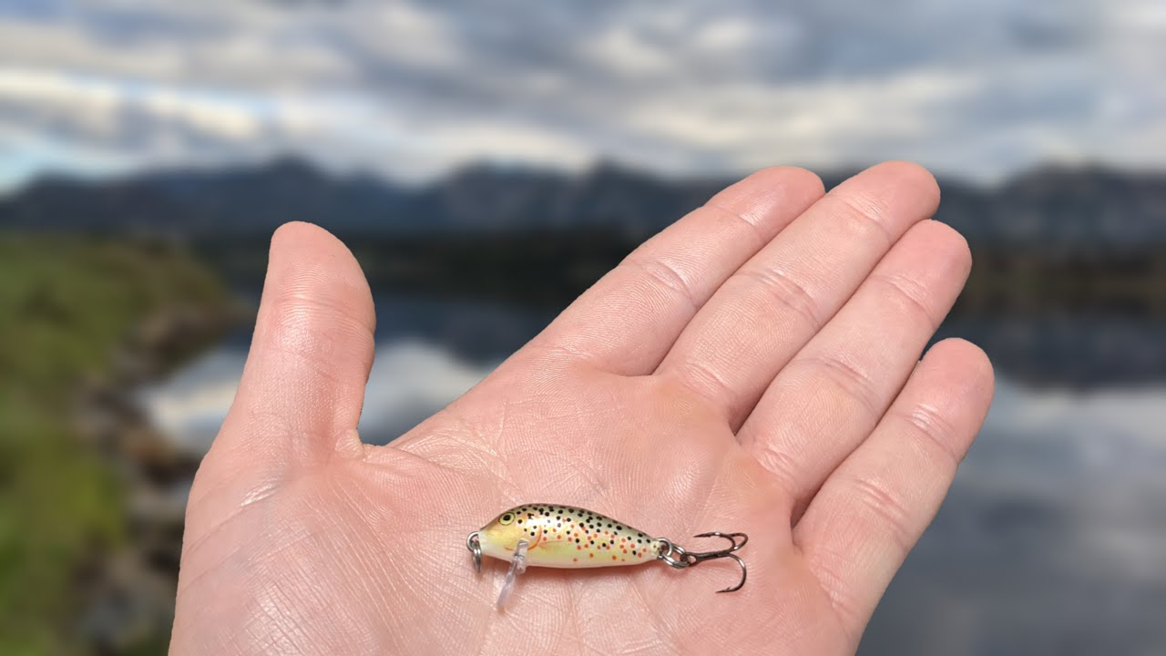Fishing With The World S Smallest Crankbait The Rapala Cd 1 Lake Estes Co Youtube