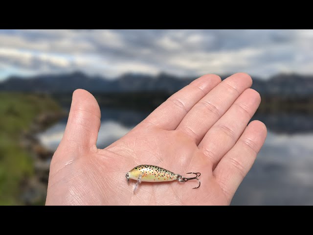 Fishing with the World's SMALLEST Crankbait? The Rapala CD-1 (Lake