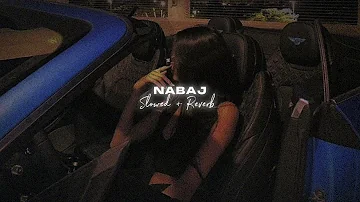 Nabaj ( Slowed + Reverb ) - Gagan Balran