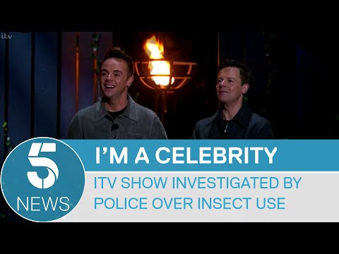 Why Do We Catch A Celebrity'S Insects In Position