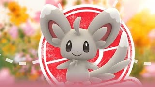 Noticias de Pokémon Go - Investigación limitada especial de Minccino