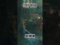 DEMON SLAYING #action #viral #slice #protector #demonslayer #shogun #samurai