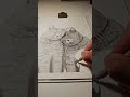 Day 5 of drawing the romantic cat couple #catdrawing #catart #catsofyoutube #finelinerdrawing