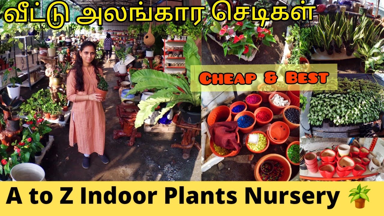 Nursery Garden in ChennaiCheap&best place to buy plants Variety of Indoor Plants & Pots