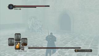DARK SOULS II: SCHOLAR OF THE FIRST SIN | Boss Battle - Aava, the Kings Pet (PS4/PS5)