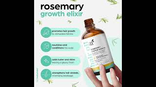 Artnaturals Organic Rosemary & Castor Hair Growth Oil