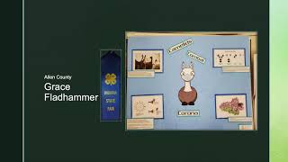 Indiana 4-H Showcase Llama Poster Beginner