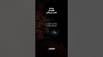 سورة الشعراء الآية |84-89|