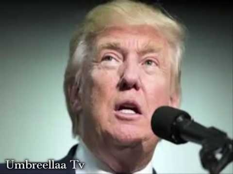 trump amazonia Trump Is Insulting Our Intelligence