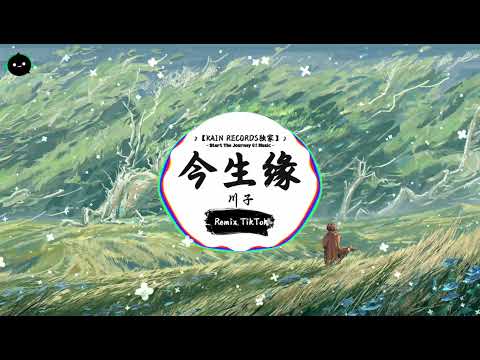 今生缘 抖音DJ版 川子 我们今生有缘在路上 只要我们彼此永不忘 抖音热歌版BGM Douyin TikTok
