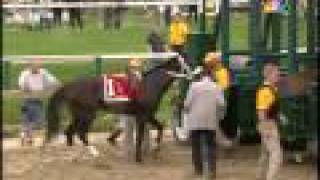 Hq 134Th Preakness Stakes Rachel Alexandra Wins