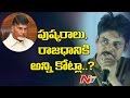 Pawan Kalyan Sensational Comments on Pushkaraalu & Capital :  Ichapuram