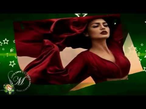 Bagdat Yolu - Ayla Algan