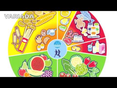 nutricion infantil - YouTube