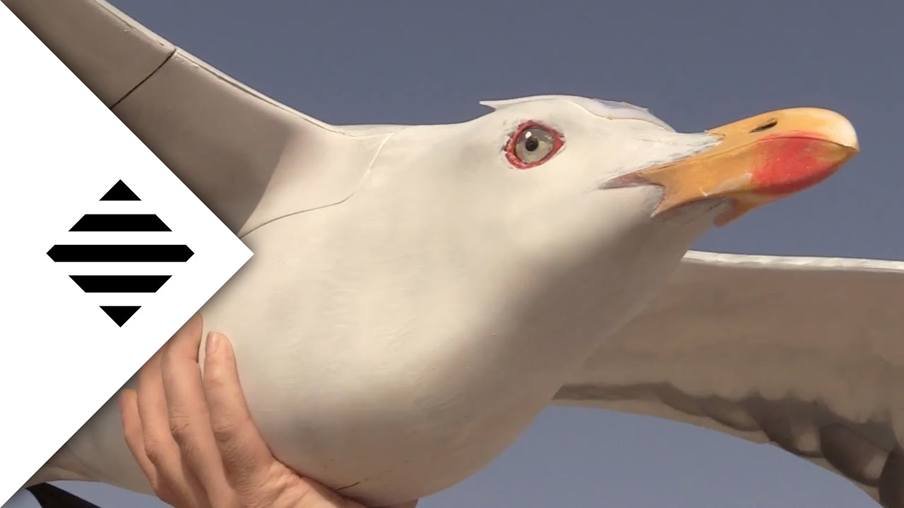 Bird-like Drones, New Exoskeleton Advances, Skyrim AI + More | MOSFET Weekly