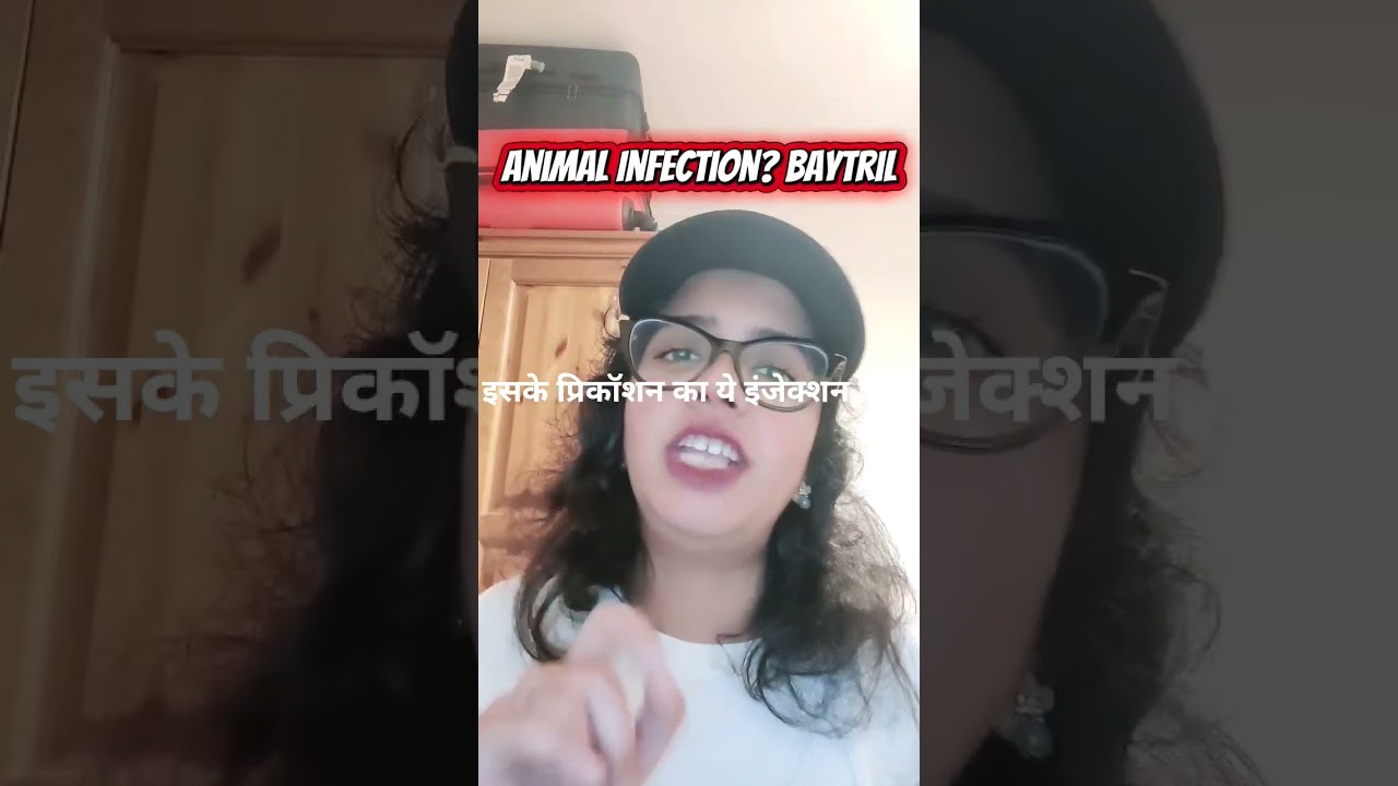 Animal Infection? Baytril 