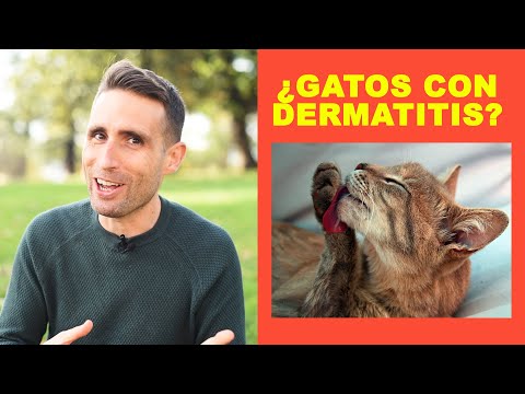 Video: ¿El agua blanda es bueno para los perros?