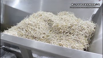 ZQ-620 Automatic Weighing and Packing Machine for Bean Sprout