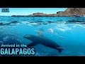 Galapagos we get turned away for a dirty bottom ep 151