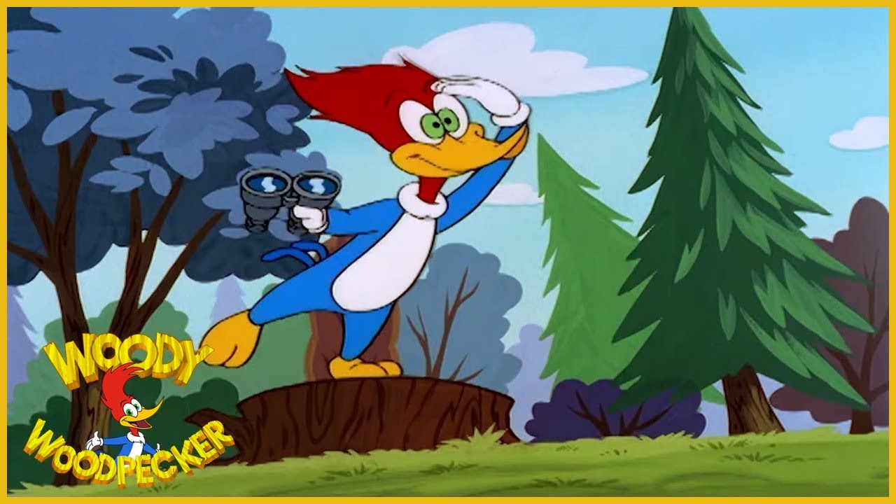 Woody Woodpecker Woody Watcher Full Episodes YouTube