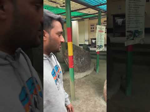 বাংলাদেশের একমাত্র রকস মিউজিয়াম #rock #youtubeshorts #shorts