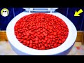 Will It Flush Coca Cola Fanta Sprite 7up Red Candy Chocolate Candy M M S Candy Will It Flush Coca Cola Fanta Sprite 7up Red Candy Chocolate Candy M M S Candy