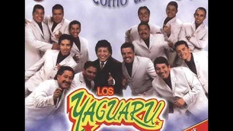yaguaru - Cuentale