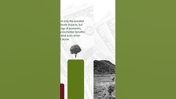 WRI Reveals $1 Investment Generates $10 in Benefits