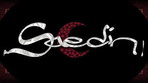 Saedín - Mala Hierba  [VÍDEO OFICIAL CON LETRA]