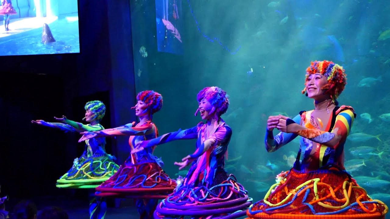 ◆えのすい アクアンのクリスマスコンサート（2018．12．01）13：30~ ◆【新江ノ島水族館】