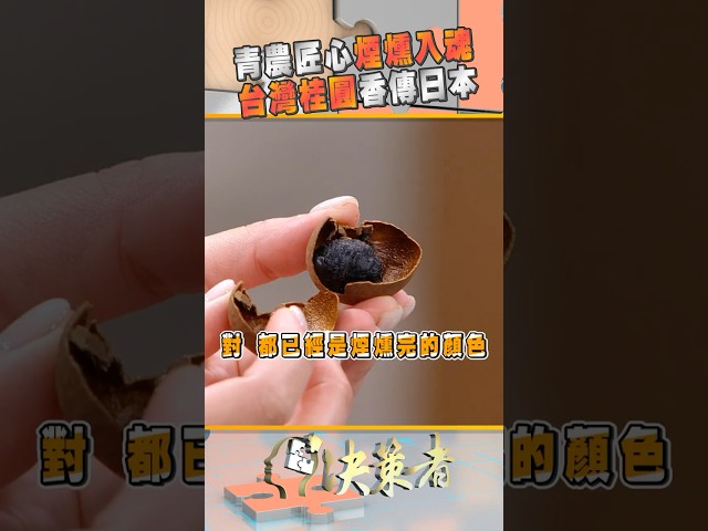 土窯龍眼怎麼挑？專家教你3招辨真偽！｜決策者 EP170