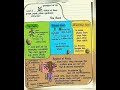 Morphology in flowering flowers🌺Part-1 class notes for class 11&amp; neet  #biology #class11