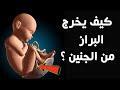 كيف يتخلص الجنين من الفضلات والبراز وهو فى بطن أمه
