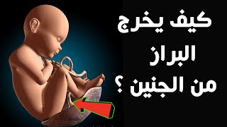 كيف يتخلص الجنين من الفضلات والبراز وهو فى بطن أمه ؟