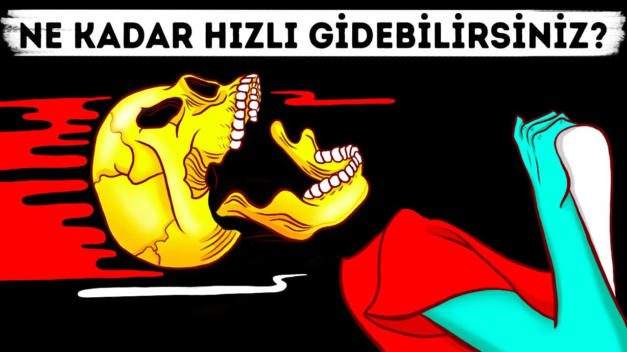 ⁣İnsanların Hayatta Kalabileceği Hız Sınırı Nedir?