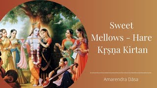 Sweet Mellows - Hare Kṛṣṇa Kirtan| Amarendra Dāsa screenshot 5