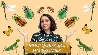 Урок "Многообразие насекомых" - ЦТ, ЕГЭ, ЗНО