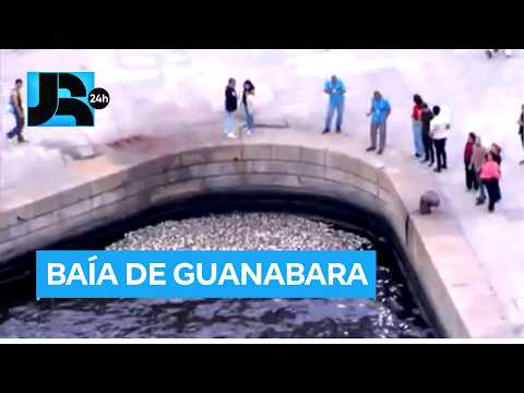 5544018 ERP 2210 JR2 BULLETIN GUANABARA FISH SCHOOL