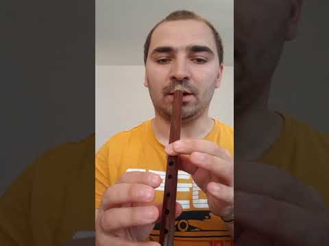 Video: Cum Să Cânți La Flautul De Bambus