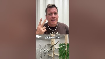 3 Things You MUST Do For Your Super Dwarf Retic