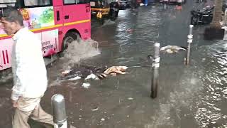 Budhwar Peth Pune city post Barish#pune#budhawarpeth#barish (2022)